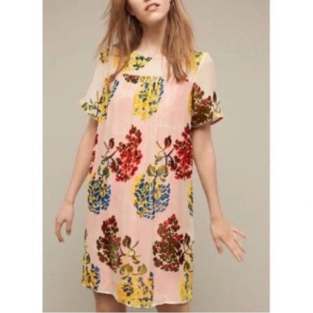 Anthropologie Maeve Baby Doll Velvet Floral Dress
